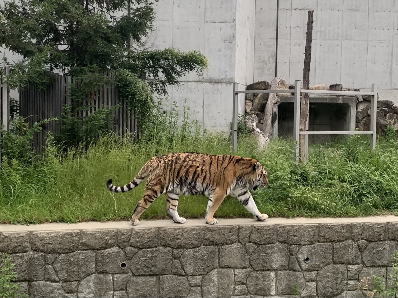 天王寺動物園