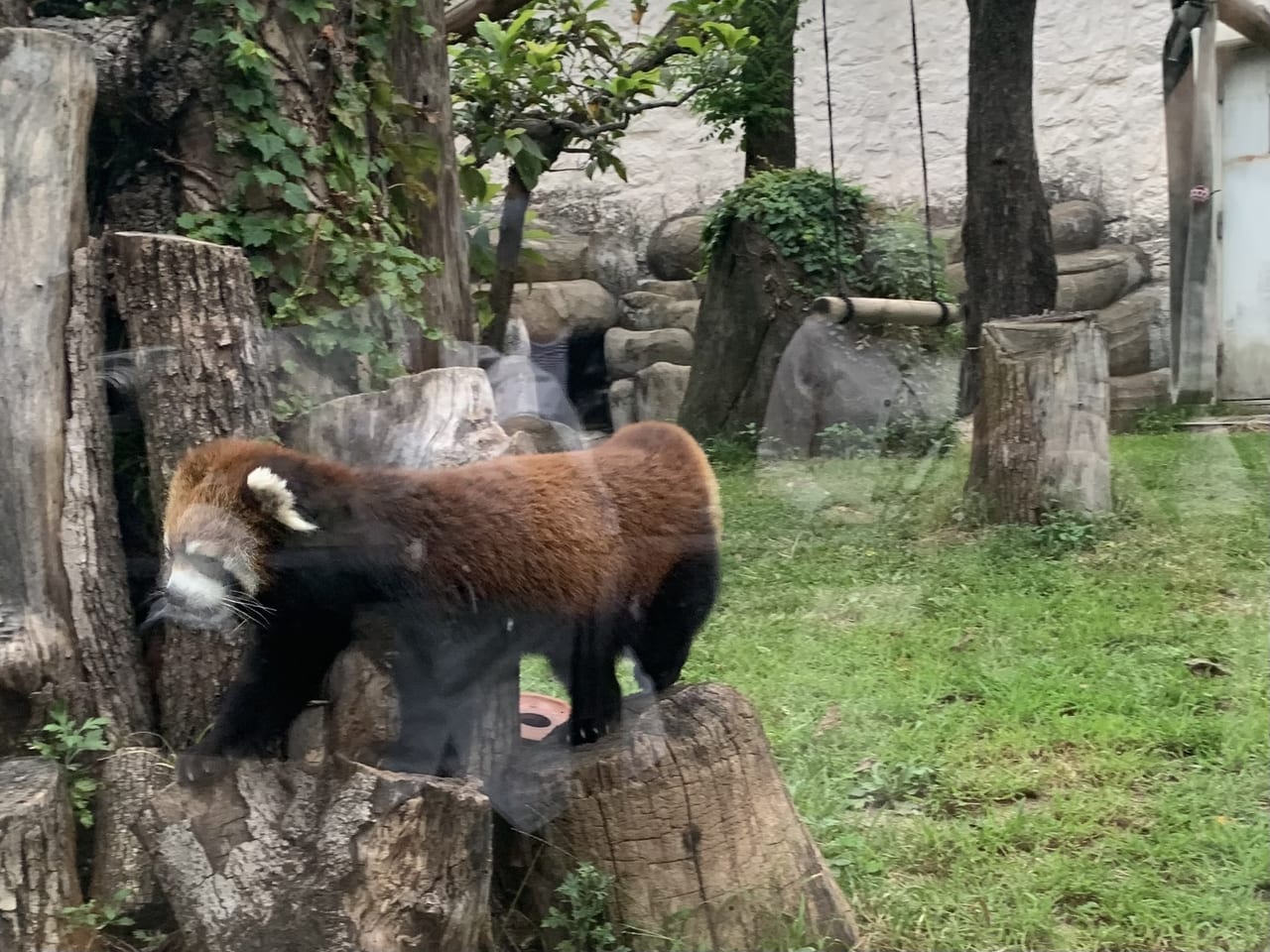 天王寺動物園