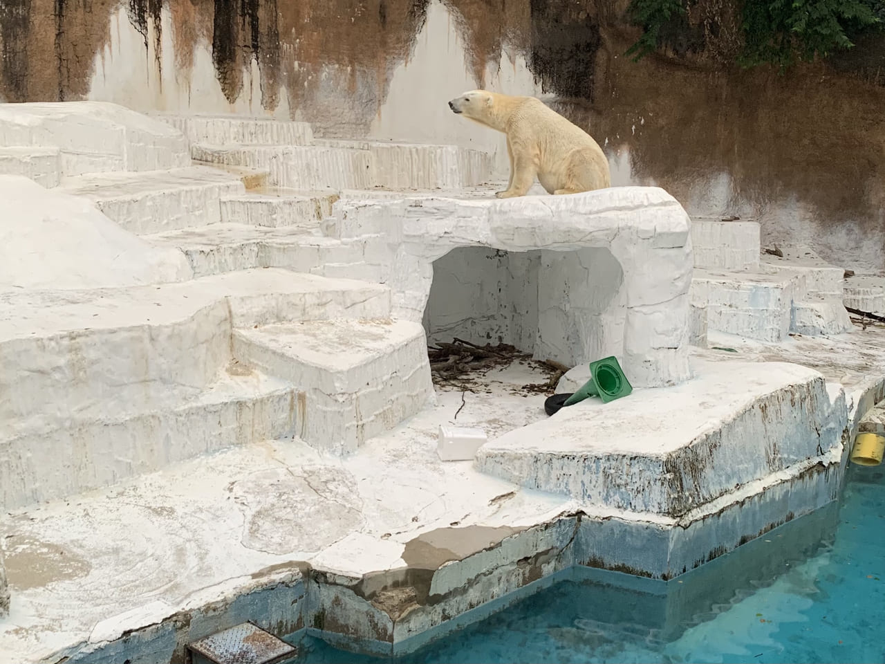 天王寺動物園