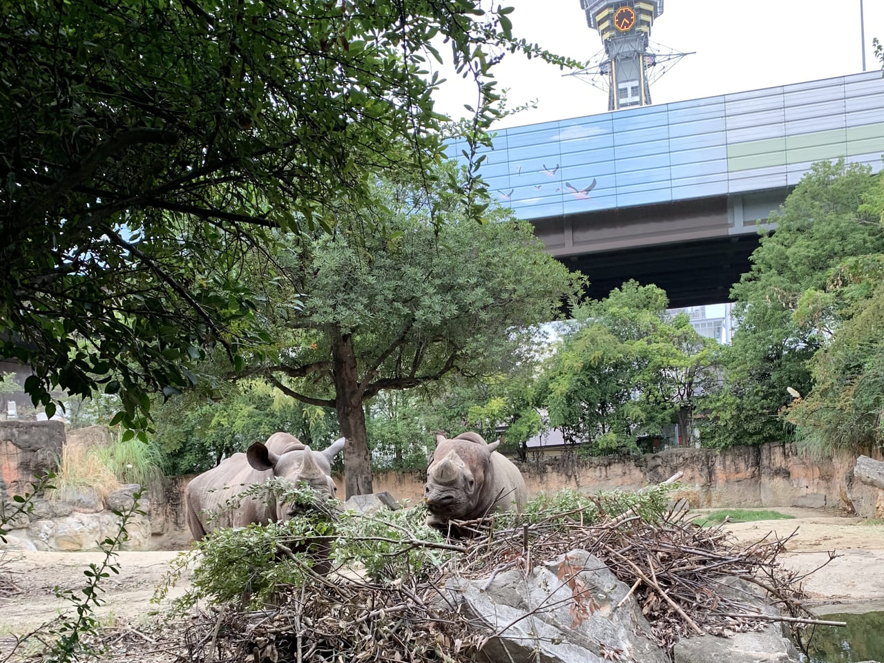 天王寺動物園