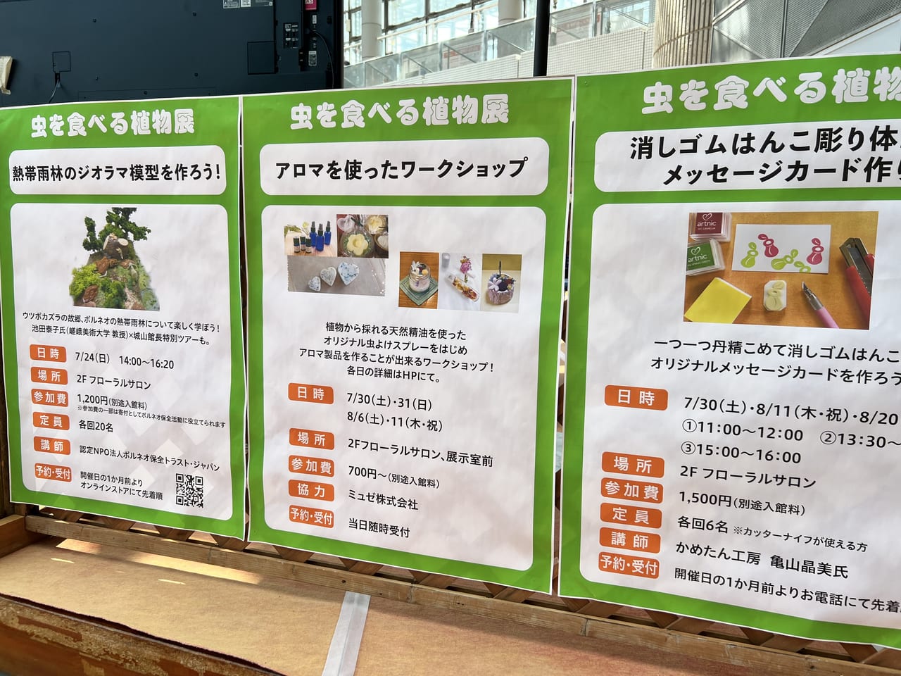 虫を食べる植物展