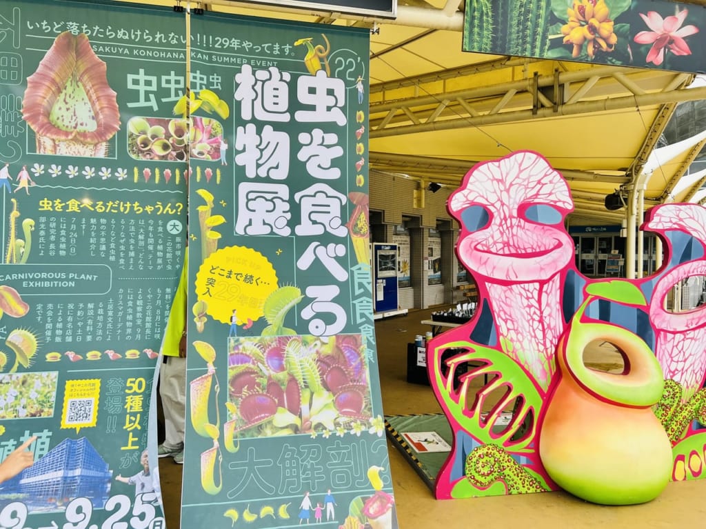 虫を食べる植物展
