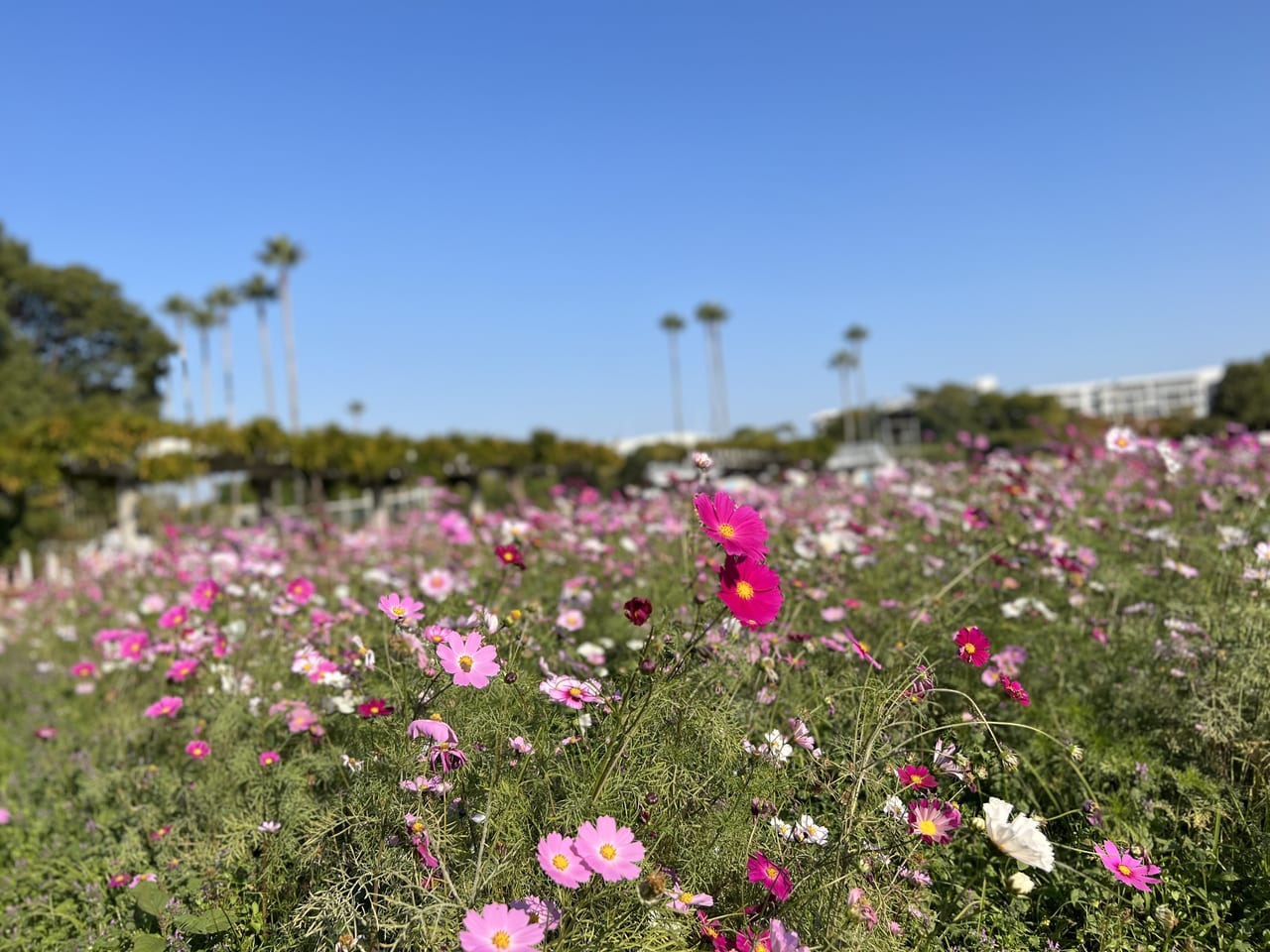 長居植物園