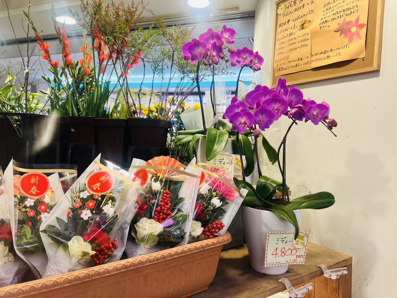 大阪市中央区 お正月準備にも 花次郎 は種類豊富なお花が驚くほどリーズナブル 号外net 大阪市