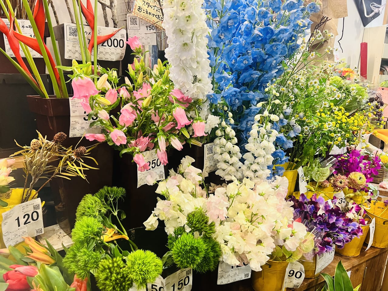 大阪市中央区 お正月準備にも 花次郎 は種類豊富なお花が驚くほどリーズナブル 号外net 大阪市
