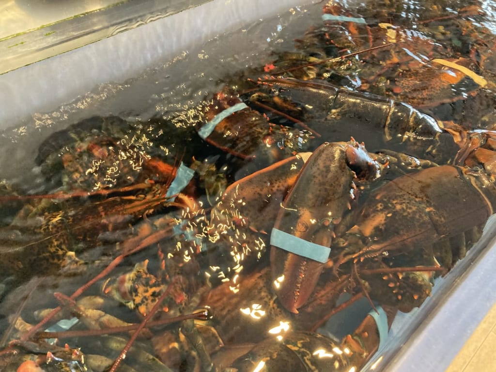 【大阪市此花区】魚卵をたっぷり味わえる！『RED LOBSTER（レッドロブスター）ユニバーサル・シティウォーク大阪店』さんで『LOBSTER