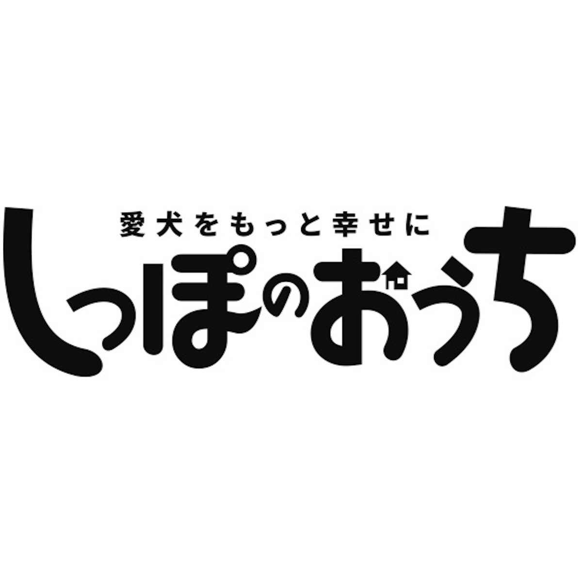 ペットホテルの初めて冬休みキャンペーン