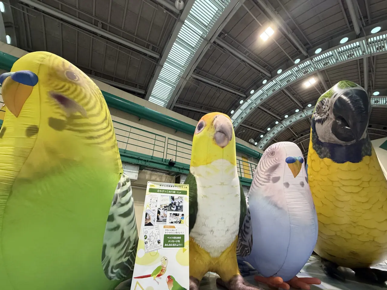 愛鳥祭2025