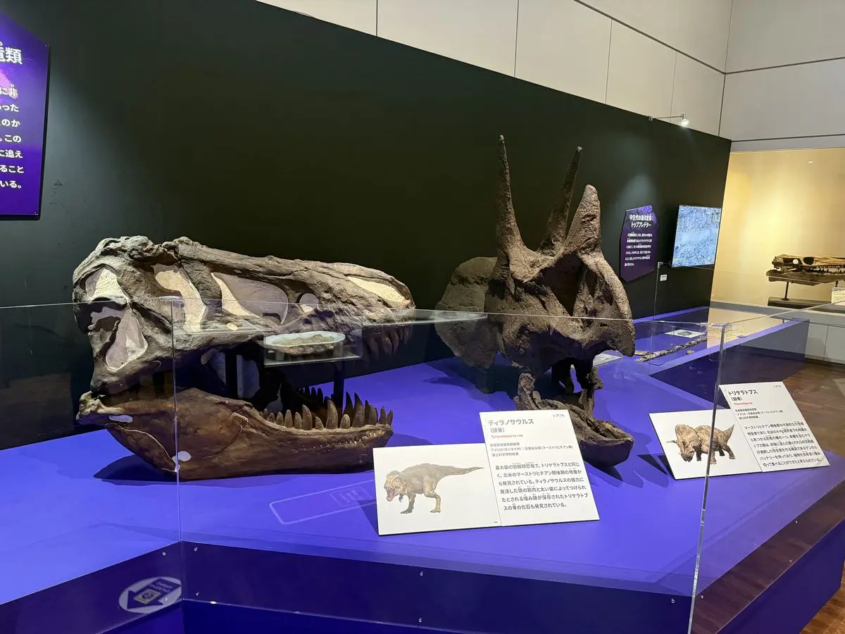 大絶滅展